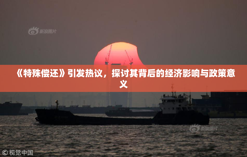 《特殊偿还》引发热议，探讨其背后的经济影响与政策意义