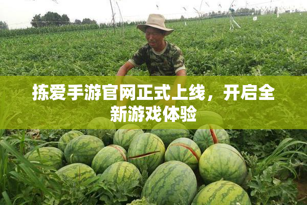 拣爱手游官网正式上线，开启全新游戏体验