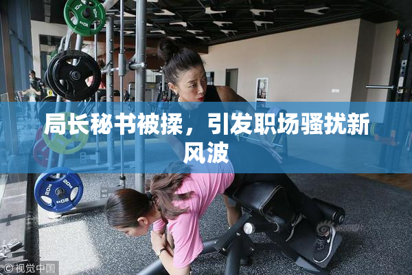 局长秘书被揉，引发职场骚扰新风波