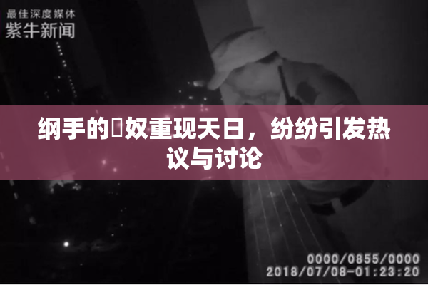 纲手的婬奴重现天日，纷纷引发热议与讨论