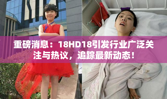 重磅消息：18HD18引发行业广泛关注与热议，追踪最新动态！