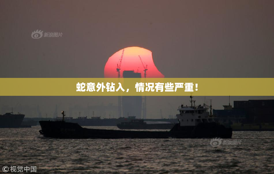 蛇意外钻入，情况有些严重！