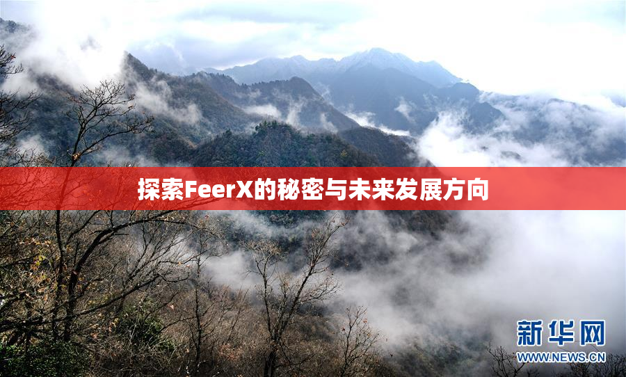 探索FeerX的秘密与未来发展方向