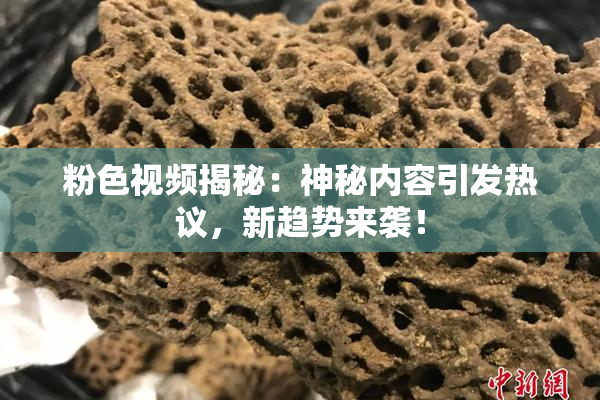 粉色视频揭秘：神秘内容引发热议，新趋势来袭！