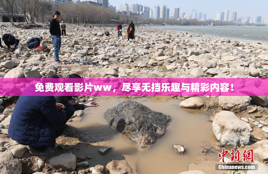 免费观看影片ww，尽享无挡乐趣与精彩内容！