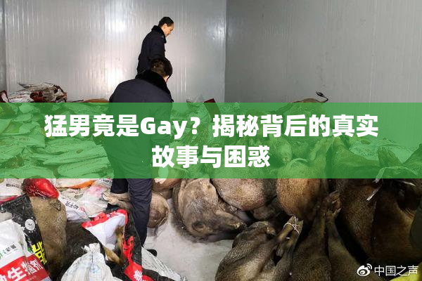 猛男竟是Gay？揭秘背后的真实故事与困惑