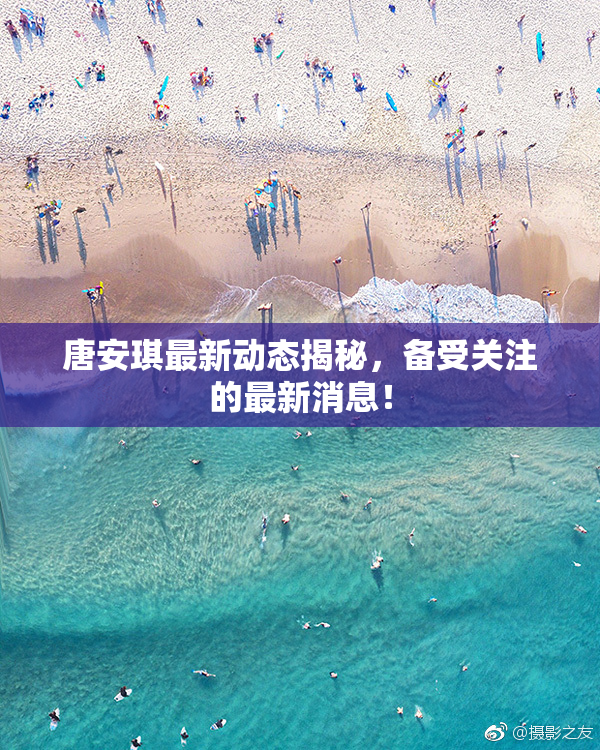 唐安琪最新动态揭秘，备受关注的最新消息！