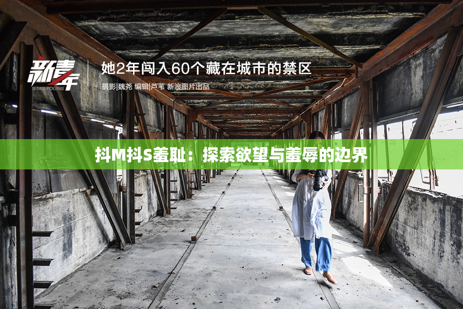 抖M抖S羞耻：探索欲望与羞辱的边界