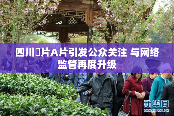 四川婬片A片引发公众关注 与网络监管再度升级