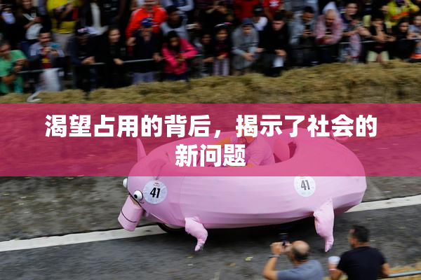 渴望占用的背后，揭示了社会的新问题