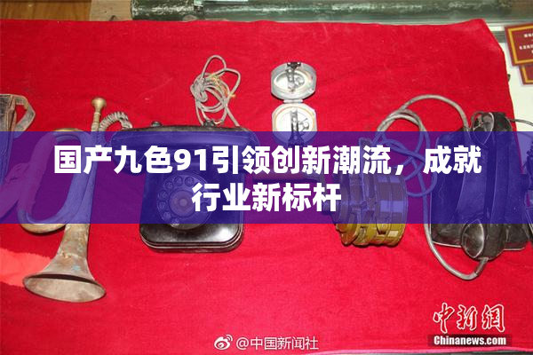 国产九色91引领创新潮流，成就行业新标杆