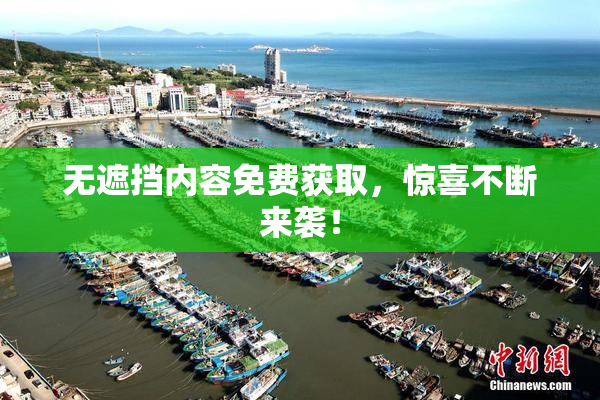 无遮挡内容免费获取，惊喜不断来袭！