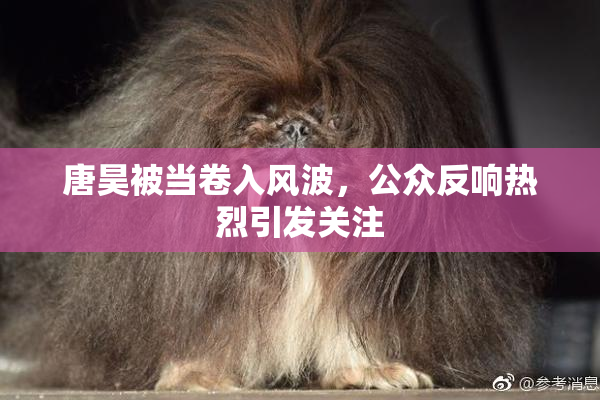 唐昊被当卷入风波，公众反响热烈引发关注