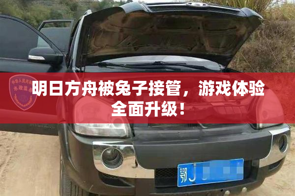 明日方舟被兔子接管，游戏体验全面升级！