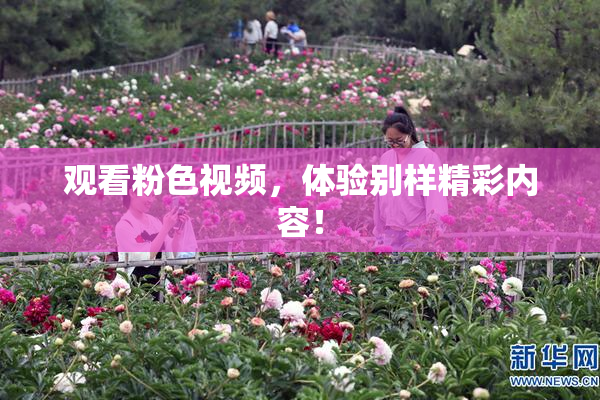 观看粉色视频，体验别样精彩内容！