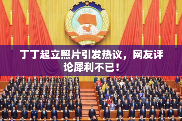 丁丁起立照片引发热议，网友评论犀利不已！