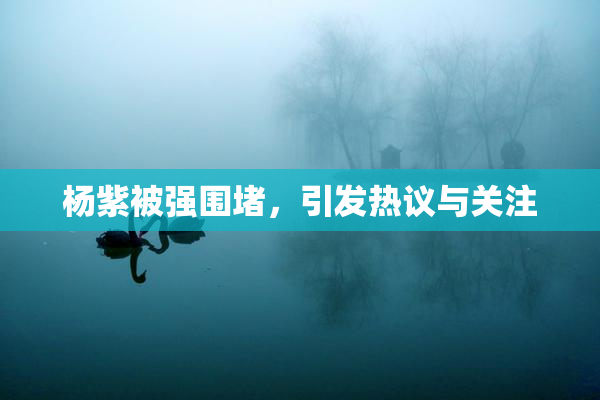 杨紫被强围堵，引发热议与关注