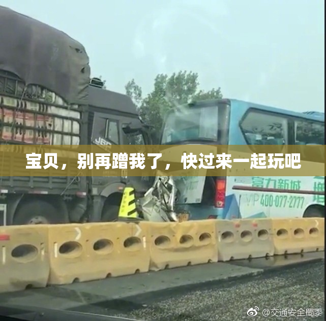 宝贝，别再蹭我了，快过来一起玩吧