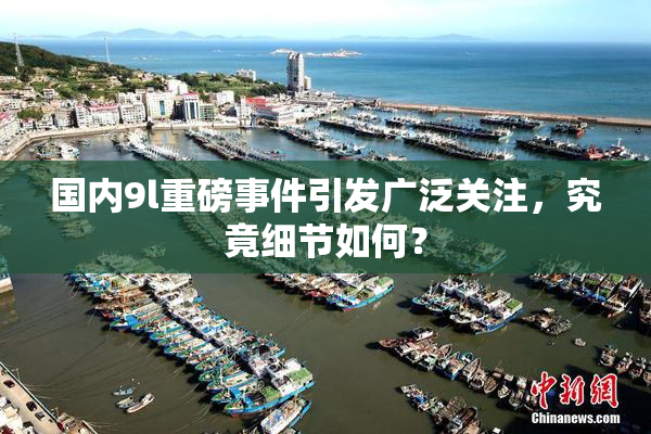 国内9l重磅事件引发广泛关注，究竟细节如何？