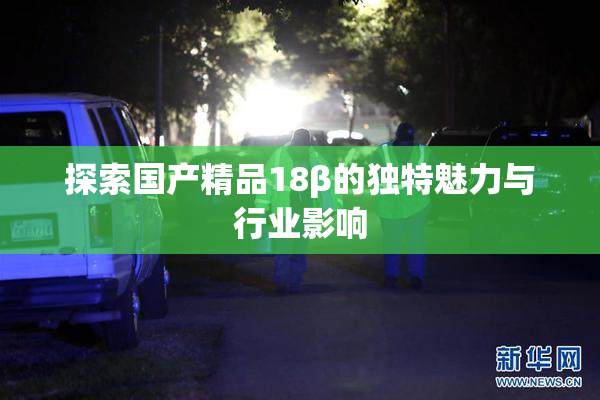 探索国产精品18β的独特魅力与行业影响
