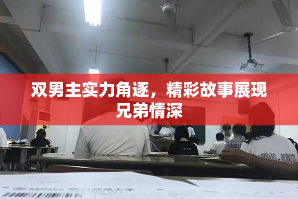 双男主实力角逐，精彩故事展现兄弟情深