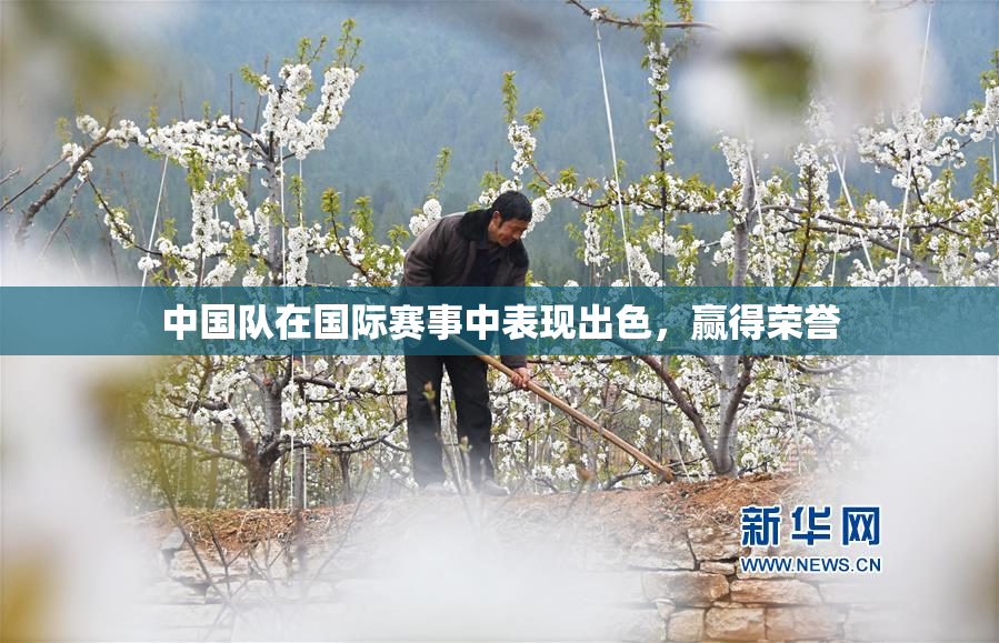 中国队在国际赛事中表现出色，赢得荣誉