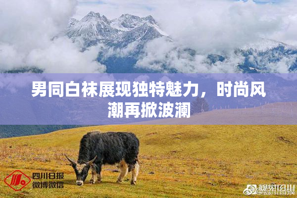 男同白袜展现独特魅力，时尚风潮再掀波澜