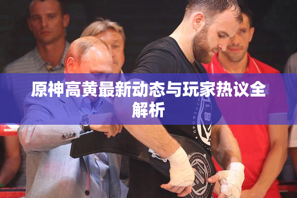 原神高黄最新动态与玩家热议全解析