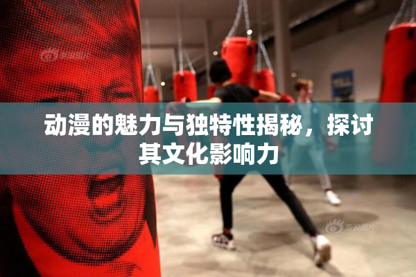 动漫的魅力与独特性揭秘，探讨其文化影响力