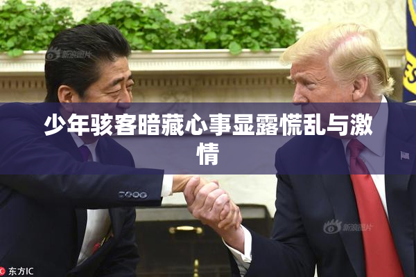 少年骇客暗藏心事显露慌乱与激情