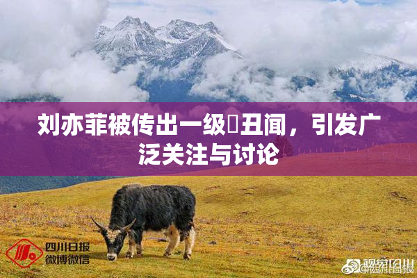 刘亦菲被传出一级婬丑闻，引发广泛关注与讨论
