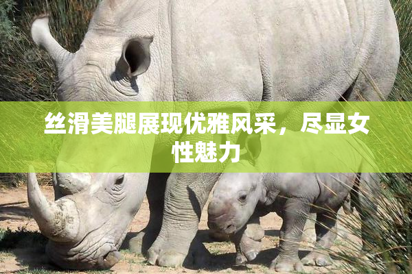 丝滑美腿展现优雅风采，尽显女性魅力