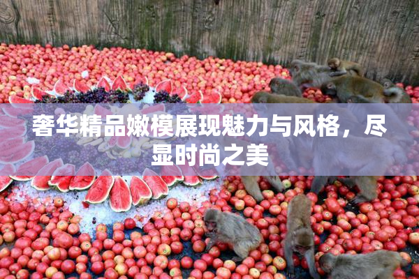奢华精品嫩模展现魅力与风格，尽显时尚之美