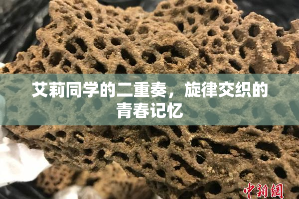 艾莉同学的二重奏，旋律交织的青春记忆
