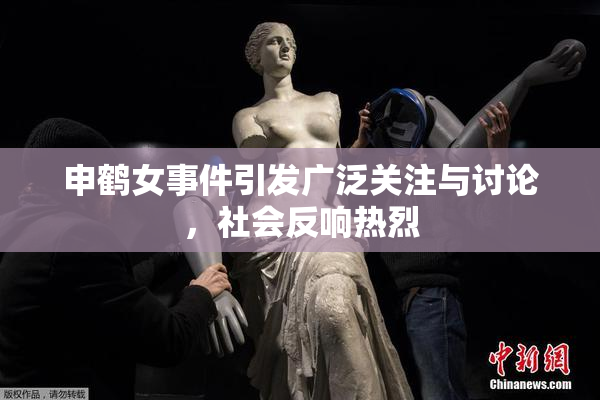 申鹤女事件引发广泛关注与讨论，社会反响热烈
