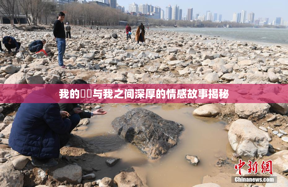 我的妺妺与我之间深厚的情感故事揭秘