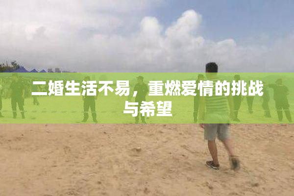 二婚生活不易，重燃爱情的挑战与希望