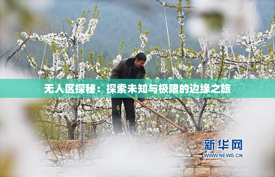 无人区探秘：探索未知与极限的边缘之旅