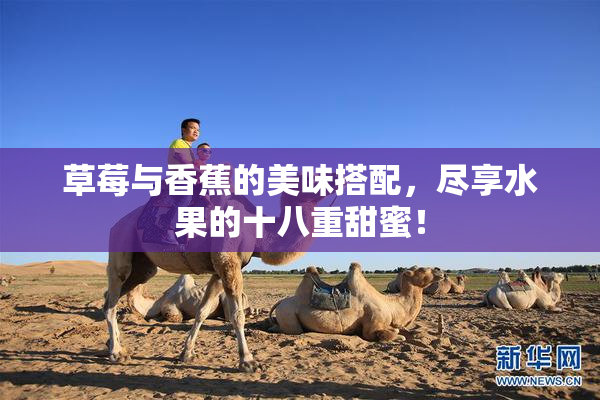 草莓与香蕉的美味搭配，尽享水果的十八重甜蜜！