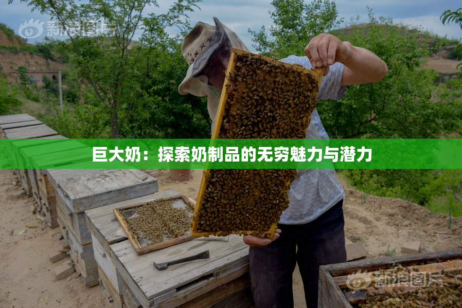 巨大奶：探索奶制品的无穷魅力与潜力