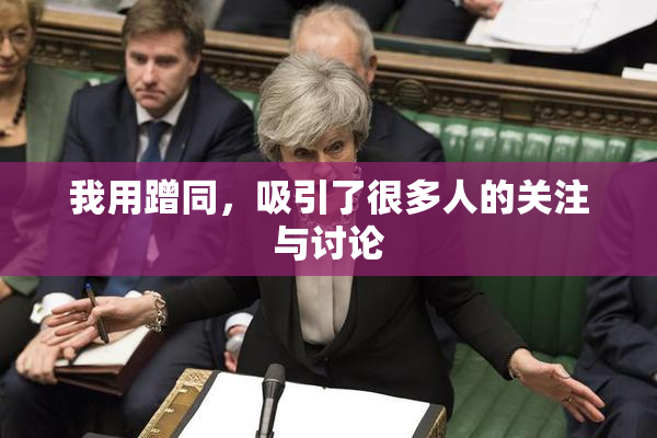 我用蹭同，吸引了很多人的关注与讨论