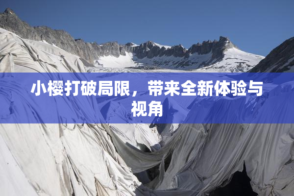 小樱打破局限，带来全新体验与视角