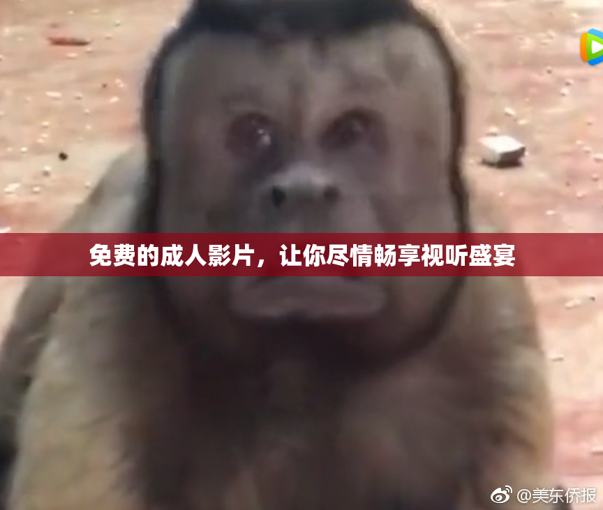 免费的成人影片，让你尽情畅享视听盛宴