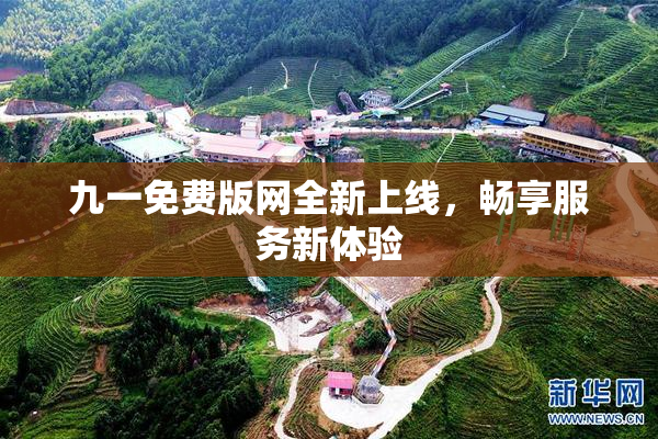 九一免费版网全新上线，畅享服务新体验