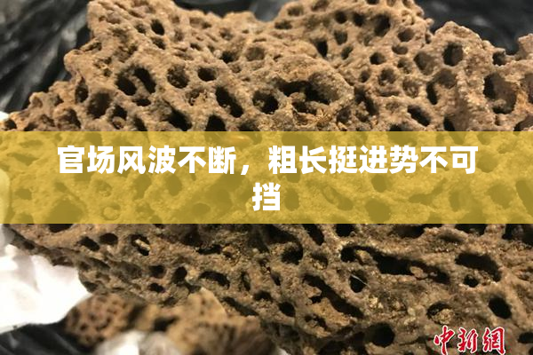 官场风波不断，粗长挺进势不可挡
