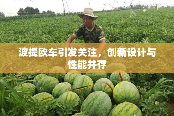波提欧车引发关注，创新设计与性能并存