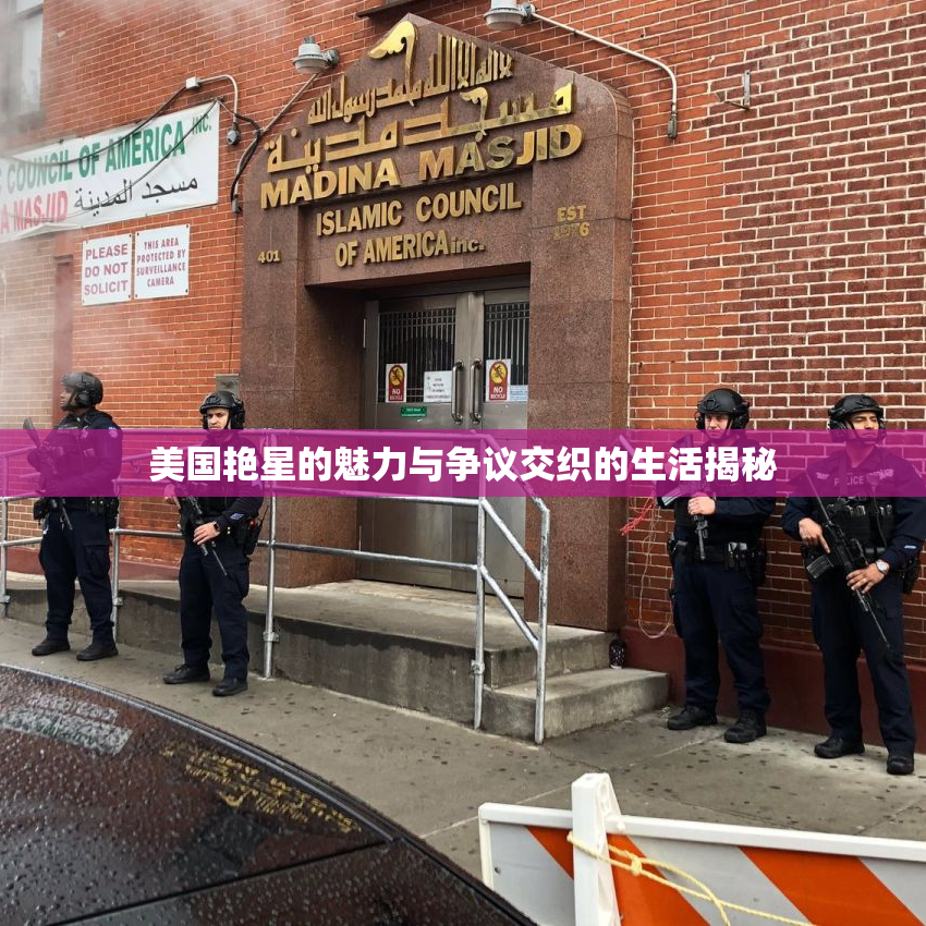 美国艳星的魅力与争议交织的生活揭秘