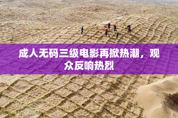 成人无码三级电影再掀热潮，观众反响热烈