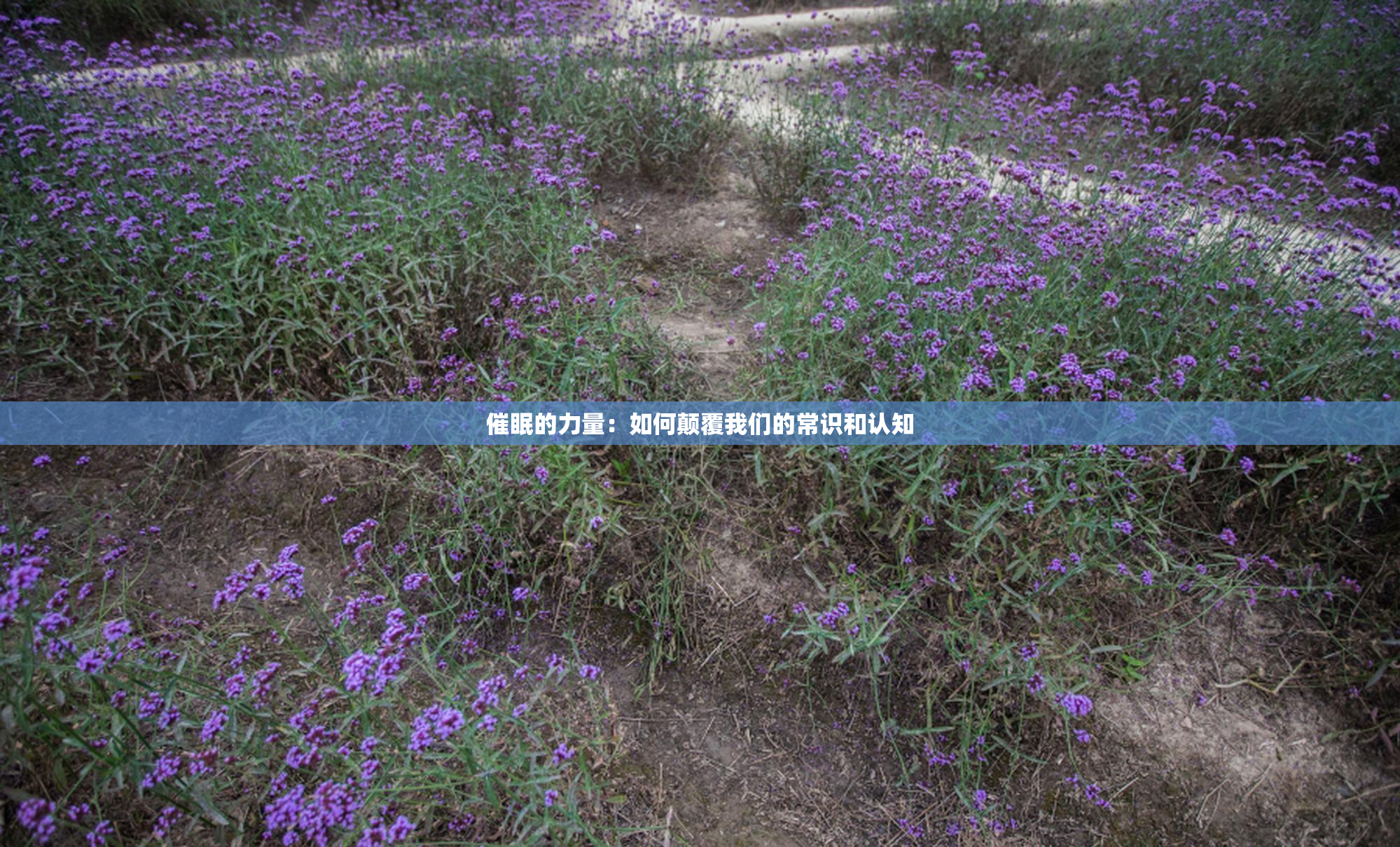 催眠的力量：如何颠覆我们的常识和认知