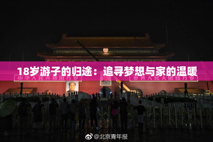 18岁游子的归途：追寻梦想与家的温暖